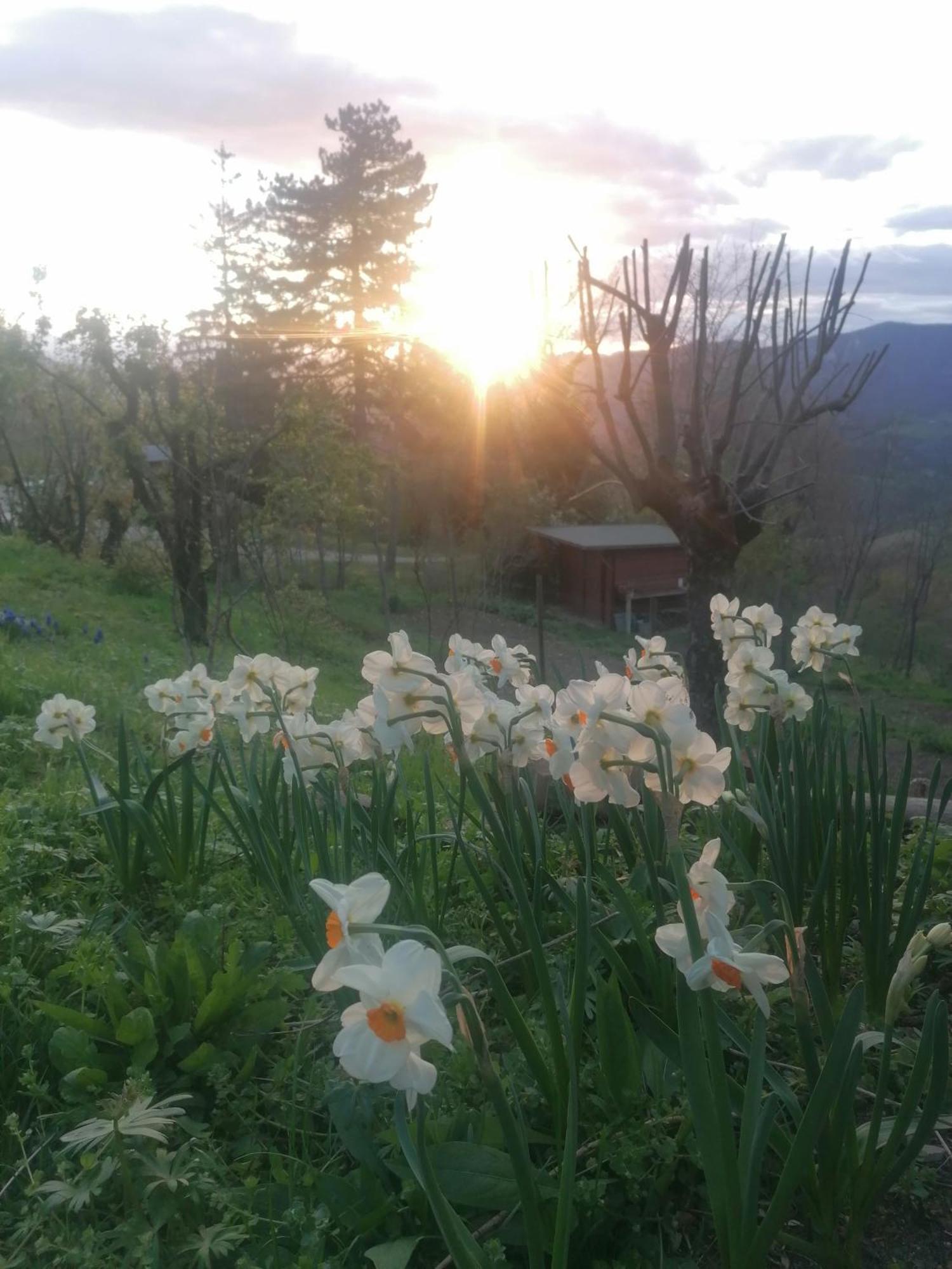 Bed and Breakfast Ca' Dei Ste Valle  Exterior foto
